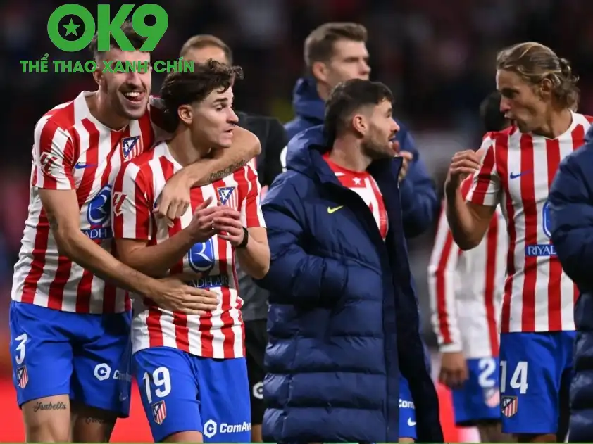 248 12 6923f9d3e2e78